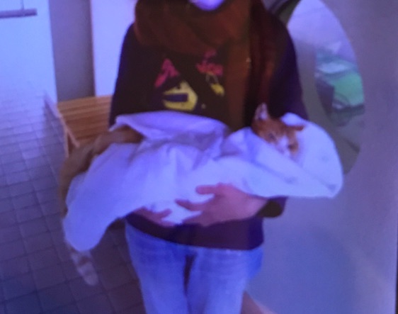 {C19AF1E5-6DD4-4B32-8353-7B35B7BD2FA1}