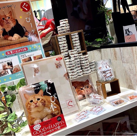 {CD4BC41B-268F-4C74-A771-C86A6BF32952}