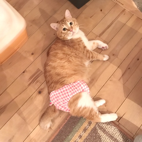 {34D375B9-EA4B-44F1-B9F5-8378D6E03D6F}