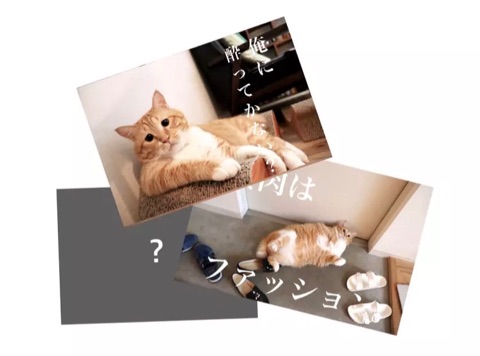 {BAA250A9-9F12-42A9-B145-CD172040FEB4}