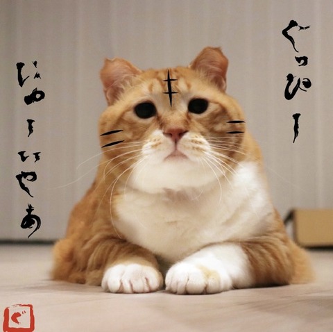 名称未設定-32 2