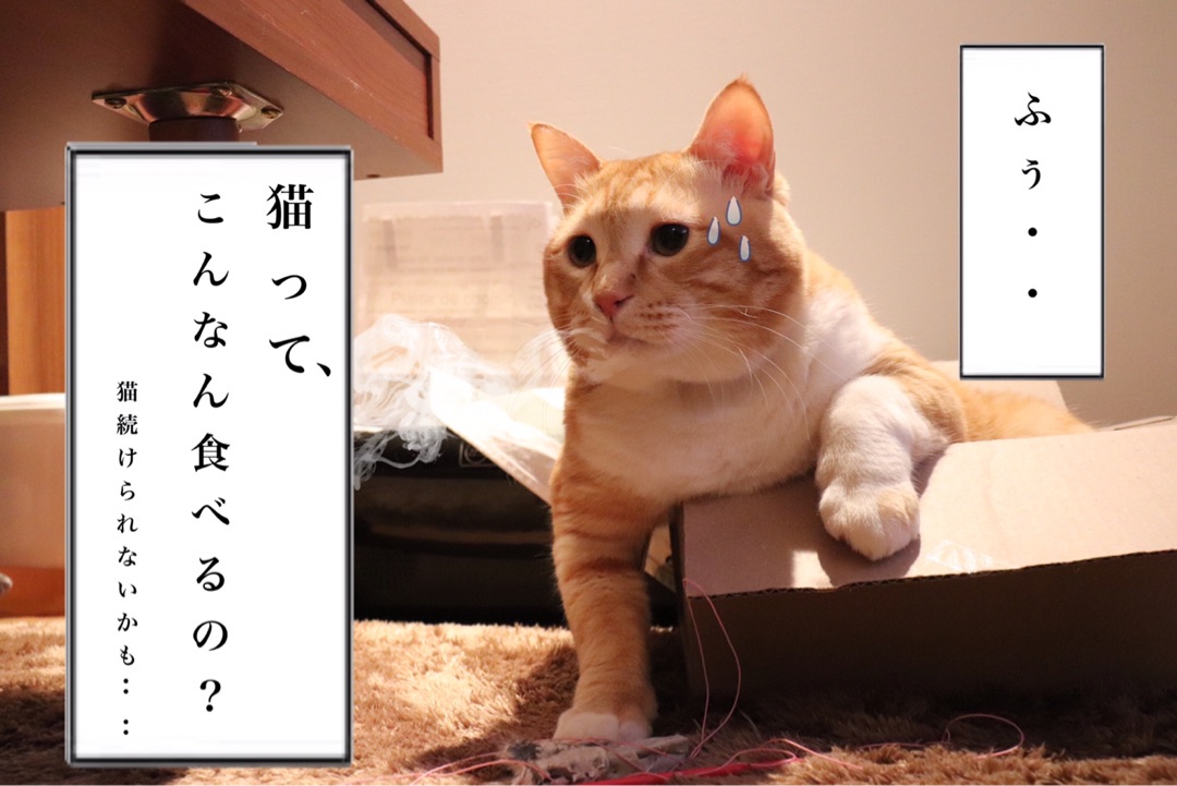 {1A53E030-9210-4656-950B-D4477A7ACC7B}