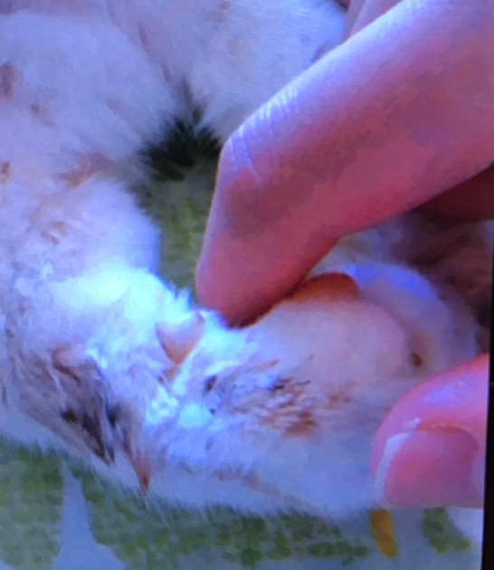 {9E6C5C62-A451-4556-9A30-D5CF6EF4B86D}