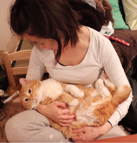 {807BE00C-0048-4B0A-993A-0EF2385C534F}