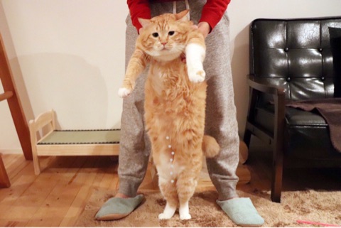 {37FE5E5F-5F69-4D88-936F-DA8DC0039A50}