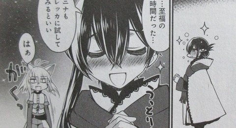 漫画 白魔法師は支援職ではありません 2巻 感想 48