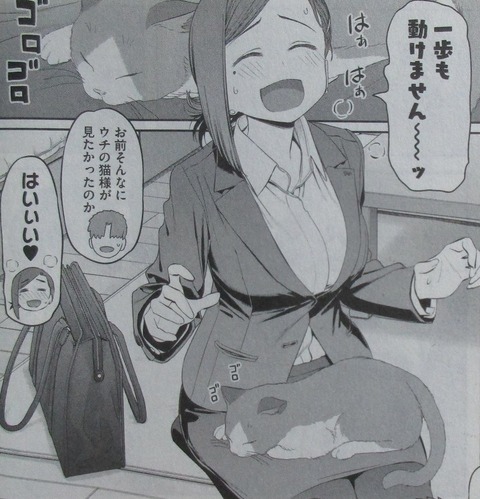 月曜日のたわわ 2巻 感想 18