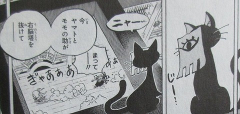 ONE PIECE 98巻 感想 52
