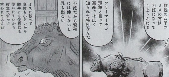 ミスター味っ子 幕末編 4巻 最終回 感想 00052