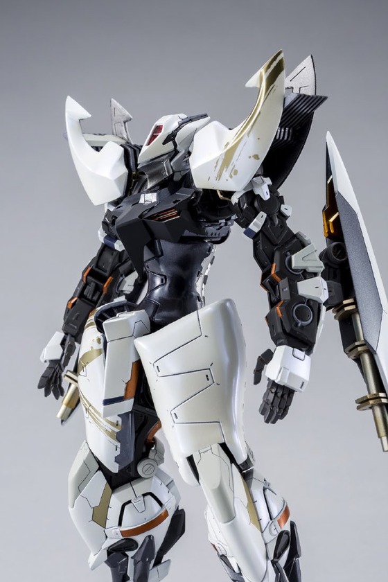 GBWC5 (12)