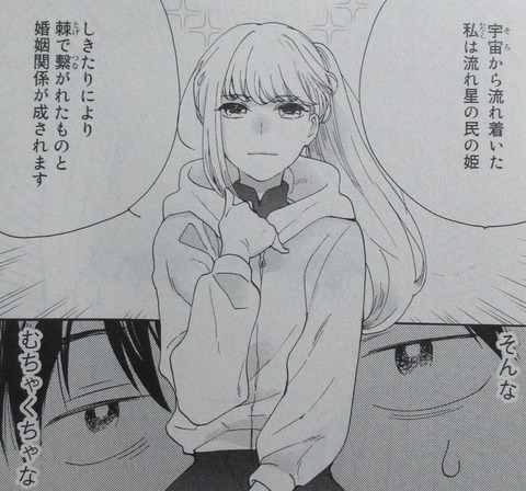 おとなりに銀河 1巻 感想 071