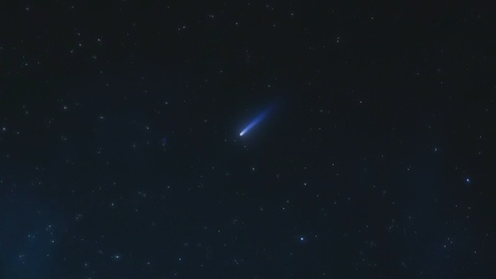 00239