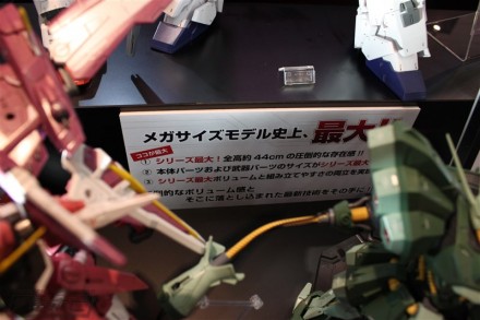 IMG_2924-440x293
