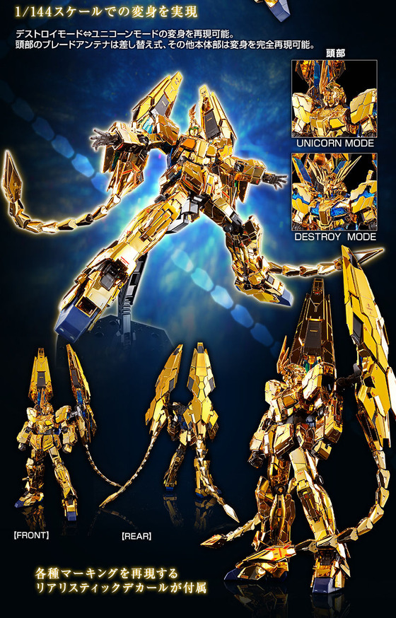 20191016_rg_phenex_nt_04