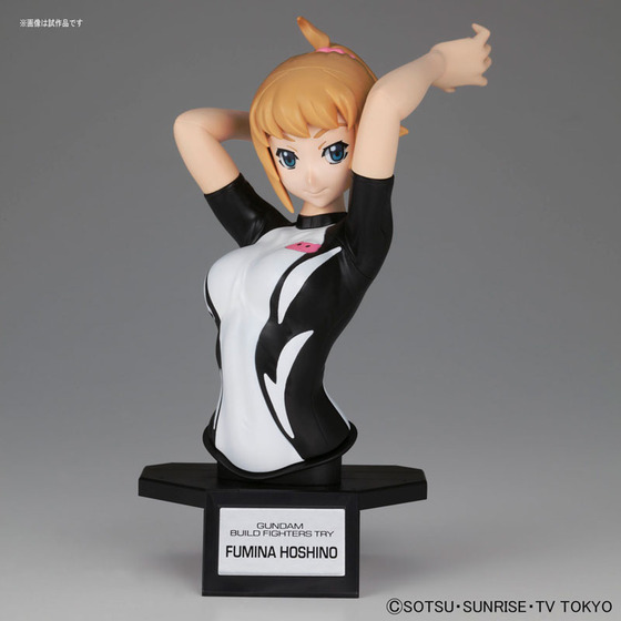 FIGURE-028990_01