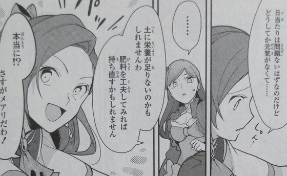 はめふら 絶体絶命! 破滅寸前編 1巻 感想 00090