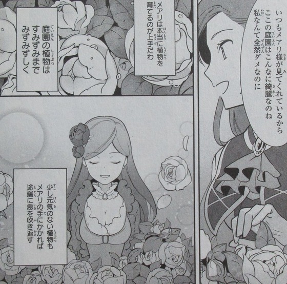 はめふら 絶体絶命! 破滅寸前編 1巻 感想 00083