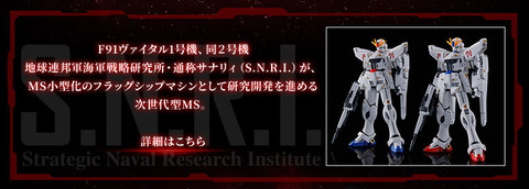 20210625_hg_gundamf91_vital_set_03