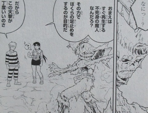 冒険王ビィト 15巻 感想 092