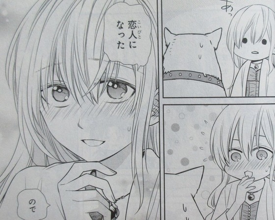魔女の下僕と魔王のツノ 12巻 感想 00055