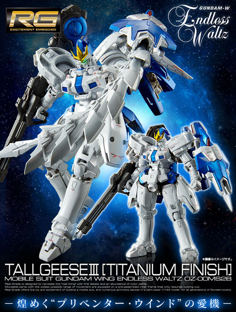 20120128_rg_tallgeeseiii_titanium_02
