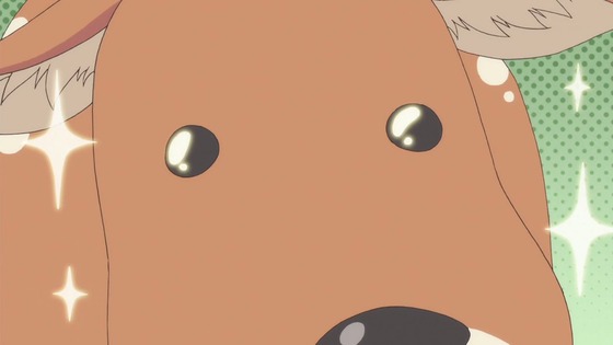00066