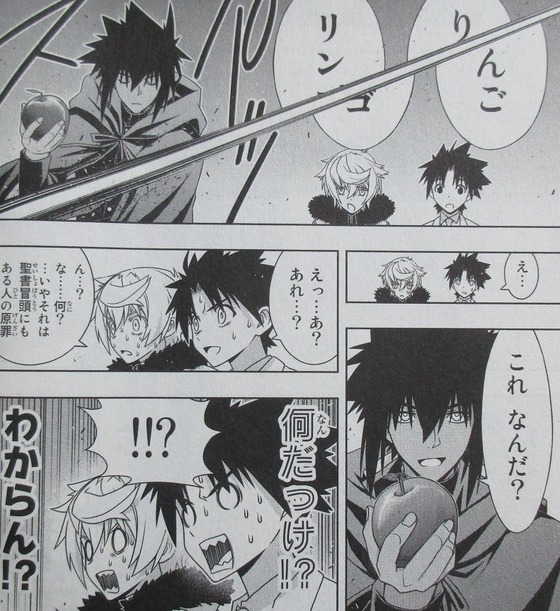 UQ HOLDER! 22巻 感想 00022