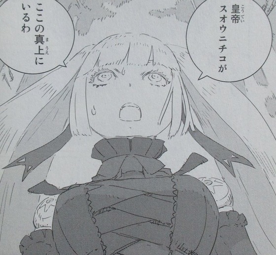 人形の国 6巻 感想 00036