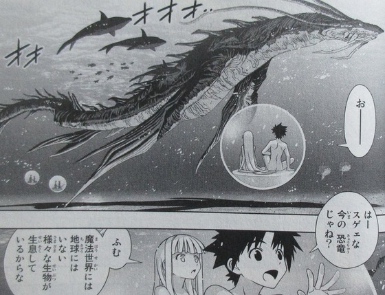UQ HOLDER! 22巻 感想 00040