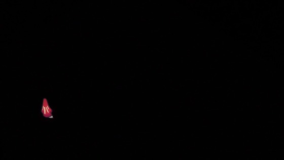 00409