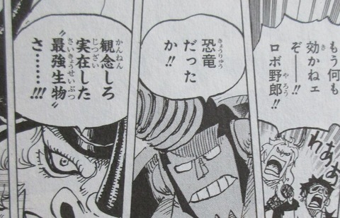 ONE PIECE 99巻 感想 ネタバレ 25