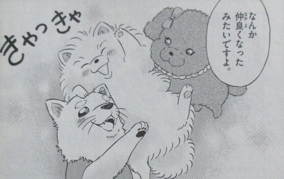 犯人の犯沢さん 5巻 感想 00023