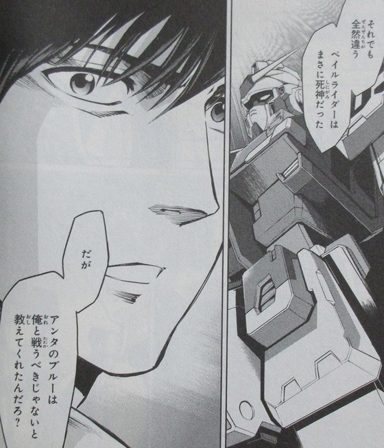ザ・ブルー・ディスティニー 8巻 感想 00024
