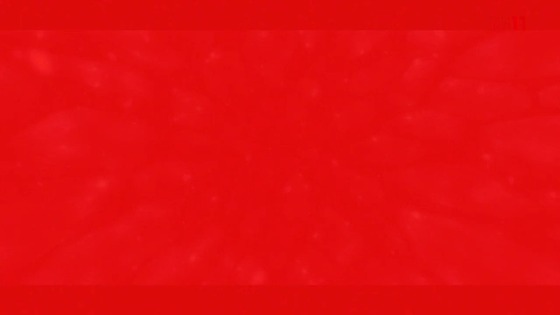 00494
