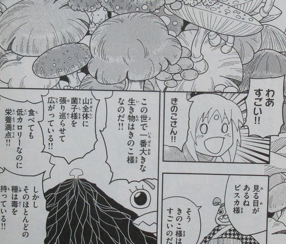 マテリアル・パズル 神無き世界の魔法使い 5巻 感想 00044