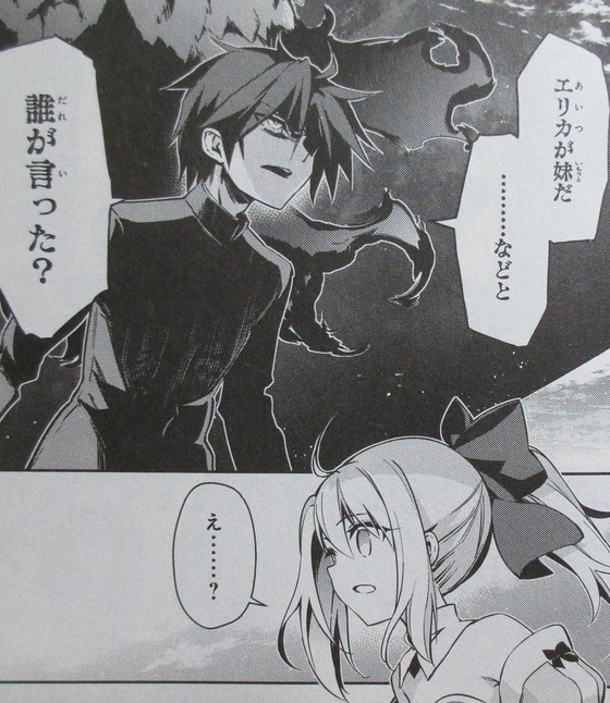プリズマ イリヤ ドライ! 11巻 感想 00035