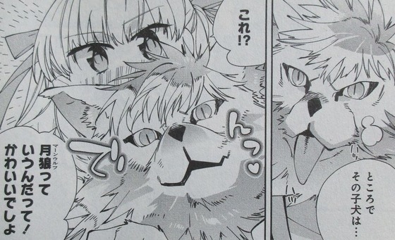 異世界ちゃんこ 4巻 感想 00016