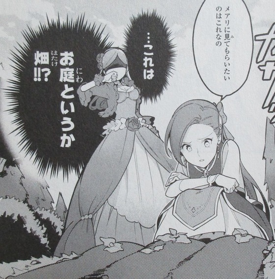 はめふら 絶体絶命! 破滅寸前編 1巻 感想 00089