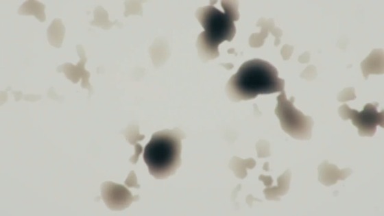 00536