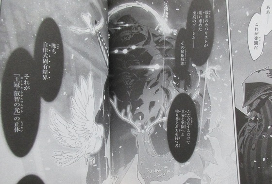 Fate Apocrypha 8巻 感想 00040