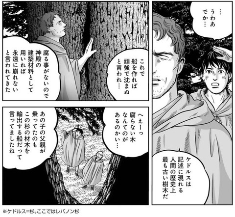 プリニウス 10巻 感想 00007