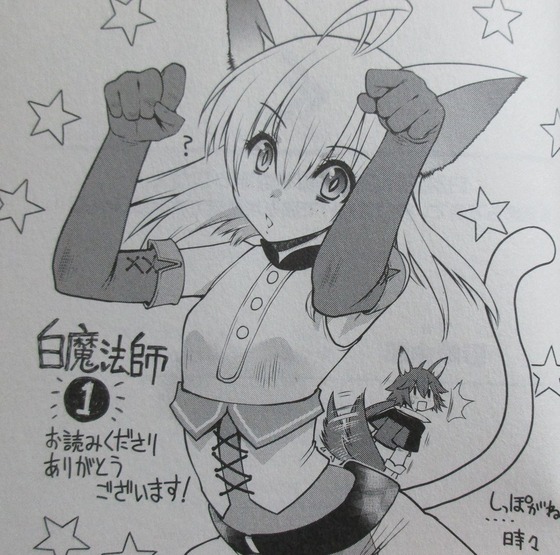 白魔法師は支援職ではありません 1巻 感想 00053
