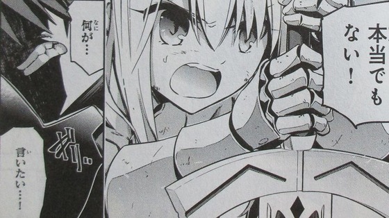プリズマ イリヤ ドライ! 11巻 感想 00050