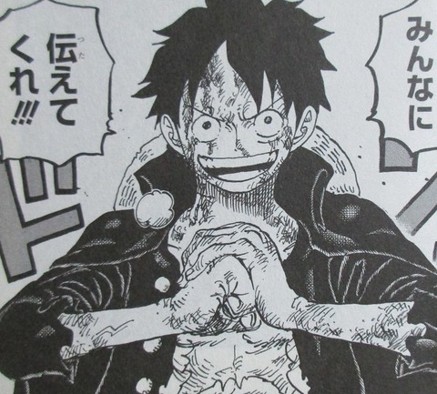 ONE PIECE 100巻 感想 58