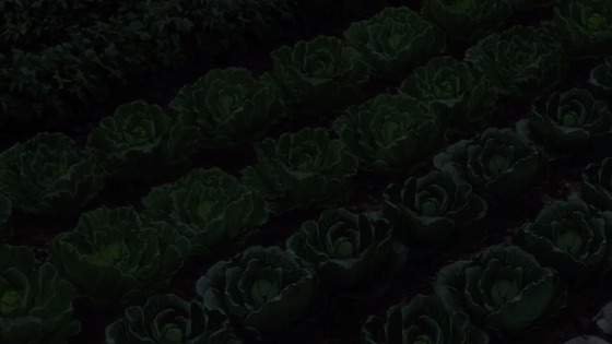 00445