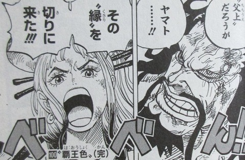 ONE PIECE 100巻 感想 92