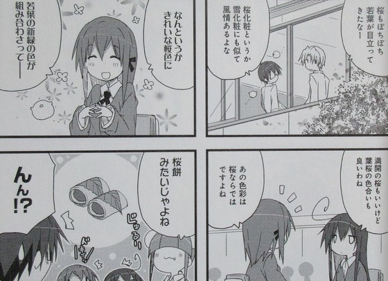 あっちこっち 8巻 感想 00020