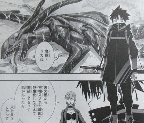 UQ HOLDER! 25巻 感想 19