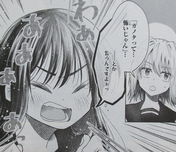 HGに恋するふたり 1巻 感想 00048