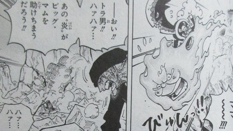 ONE PIECE 100巻 感想 49